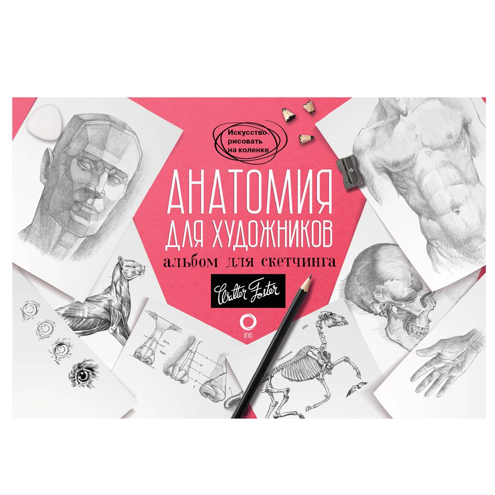 Книга "Анатомия для художников. Альбом для скетчинга"