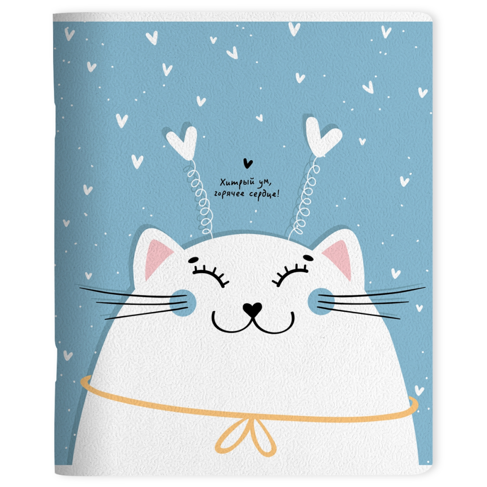 Тетрадь "Mur-Mur", A5 48 листов, клетка, голубой