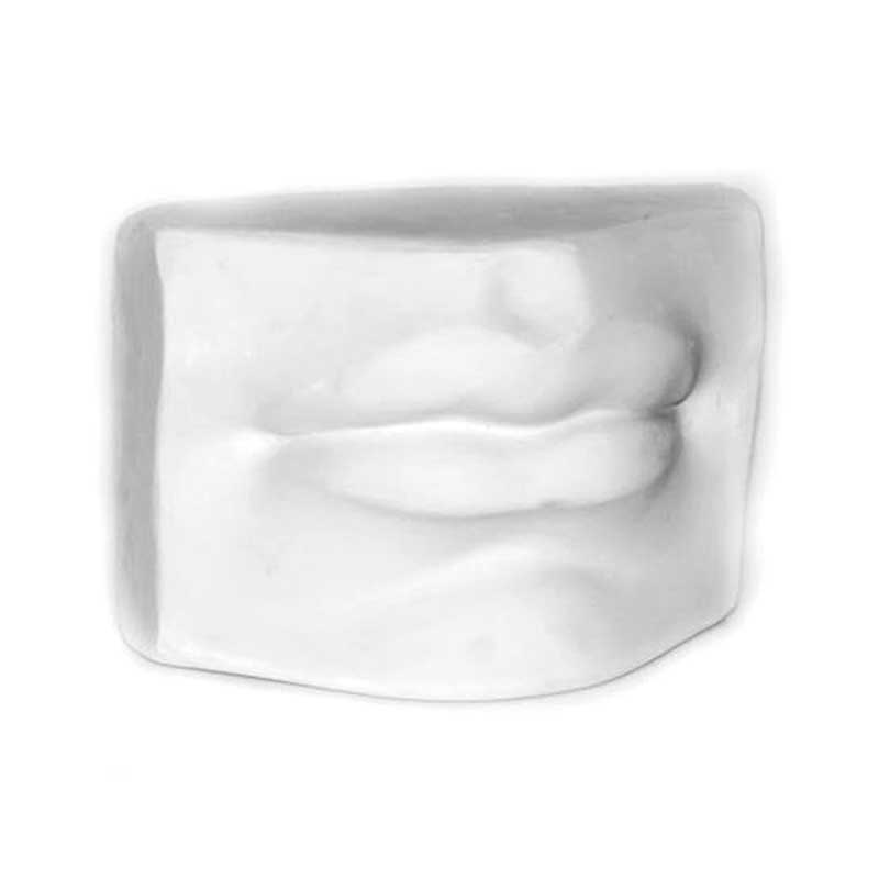 Гипсовая модель "Губы Давида"