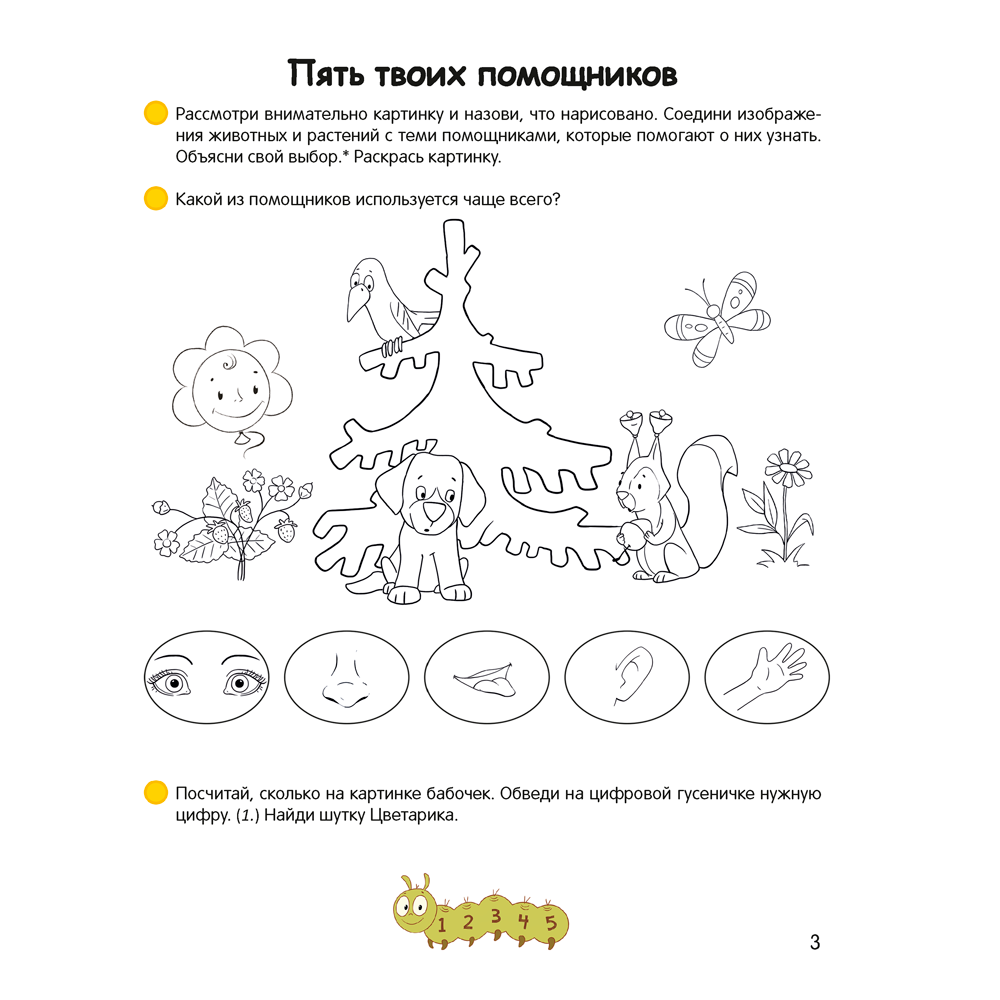 Книга "Умней-ка. 4-5 лет. Знакомство с природой", Петрикевич А. А.