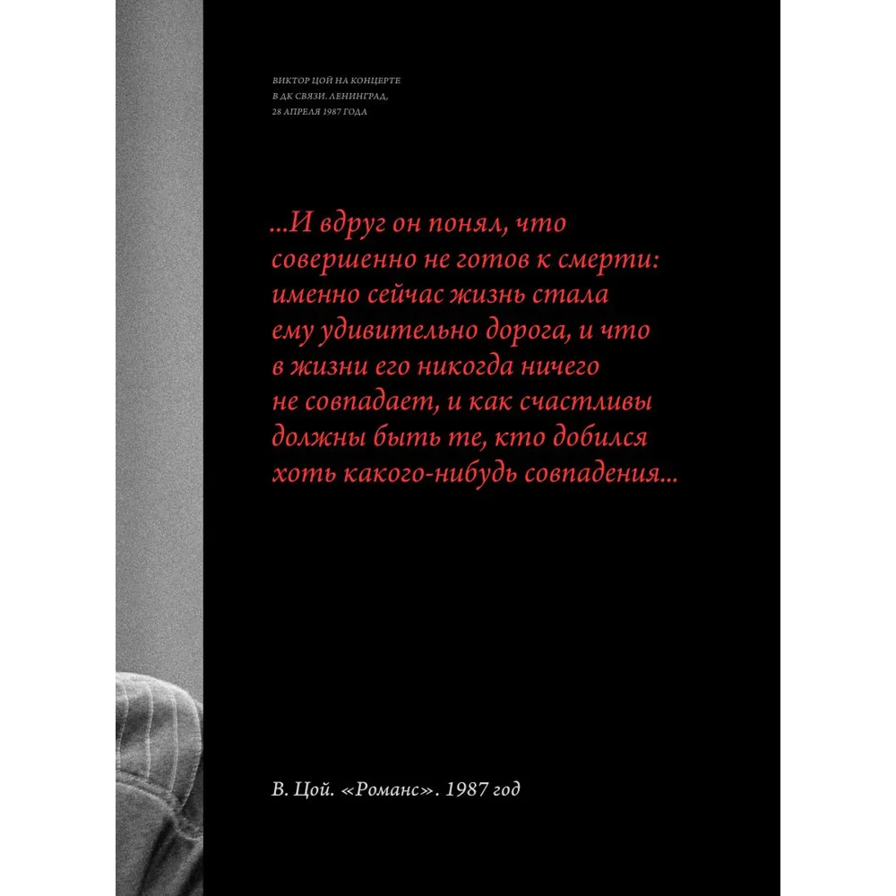 Книга "Виктор Цой. Смерть стоит того, чтобы жить, а любовь стоит того, чтобы ждать", Виталий Калгин - 6