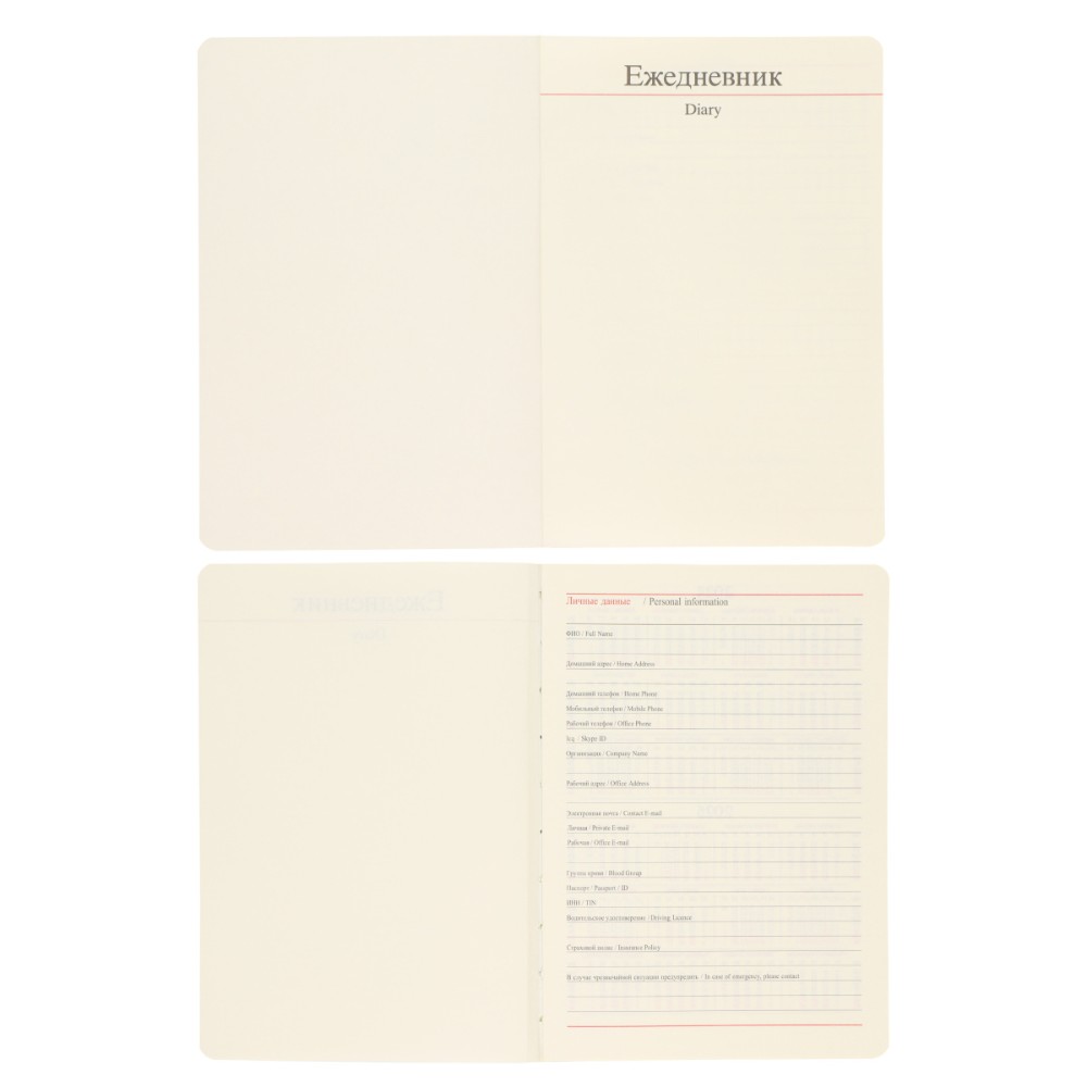 Ежедневник недатированный "FIORENZO Note Book", A5, 168 страниц, черный