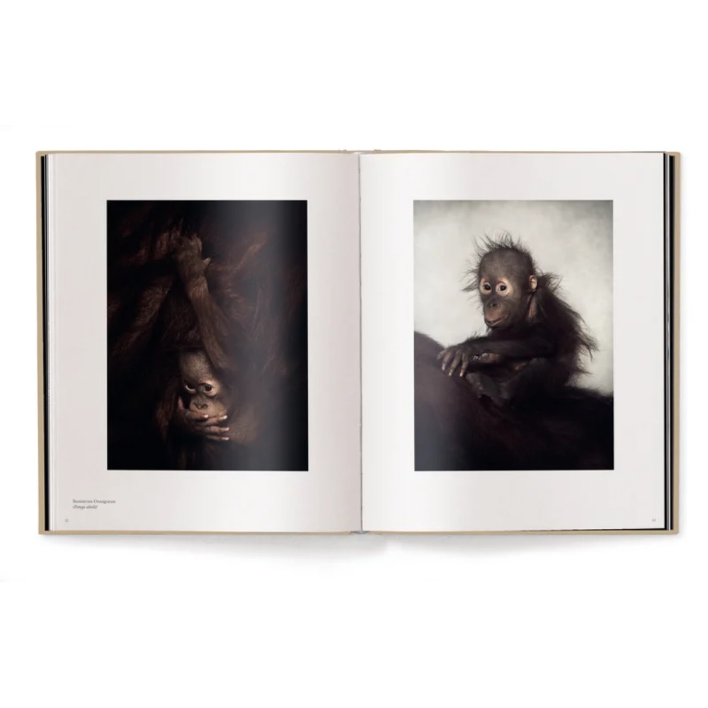 Книга на английском языке "Between Us. Animal Portraits" HB, Vincent Lagrange