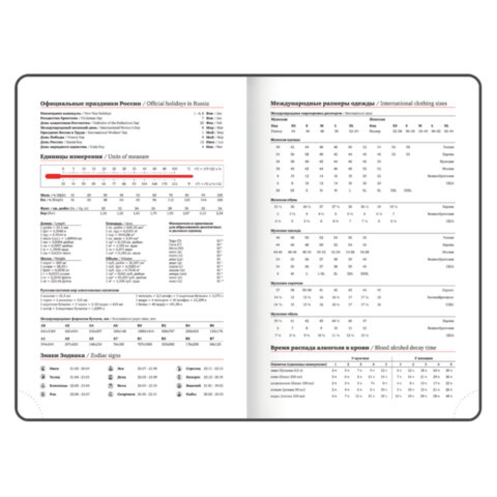 Ежедневник датированный "Plain" на 2026 год, А5, 336 страницы, синий - 9
