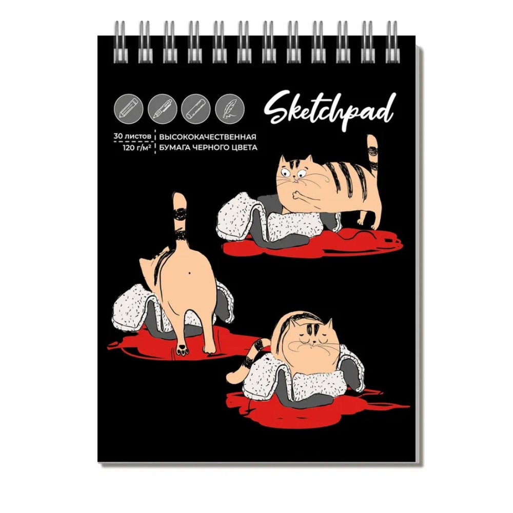 Скетчбук "Кот-непоседа", 10,5x14,8 см, 30 листов 
