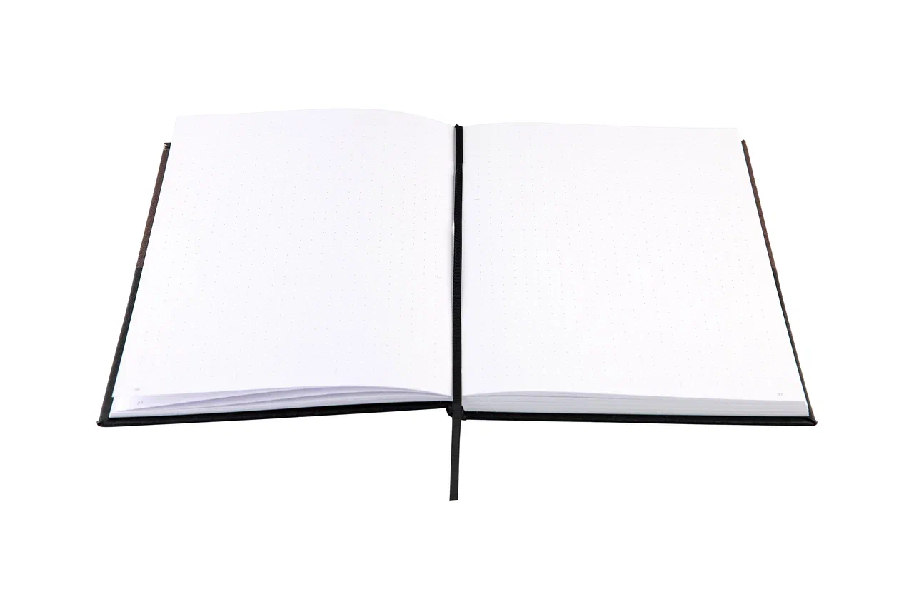 Блокнот "Стихия. Bullet Journal", А5, 80 листов, в клетку, черный - 12