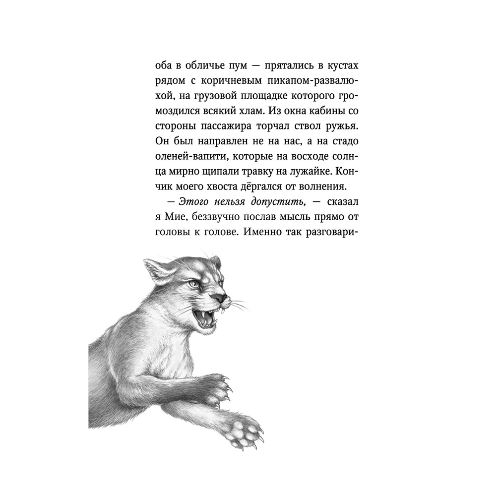 Книга "Караг и волчье испытание (#7)", Катя Брандис - 8