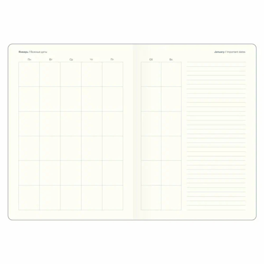 Ежедневник недатированный InFolio "June", А5, 320 страниц, мятный   - 3