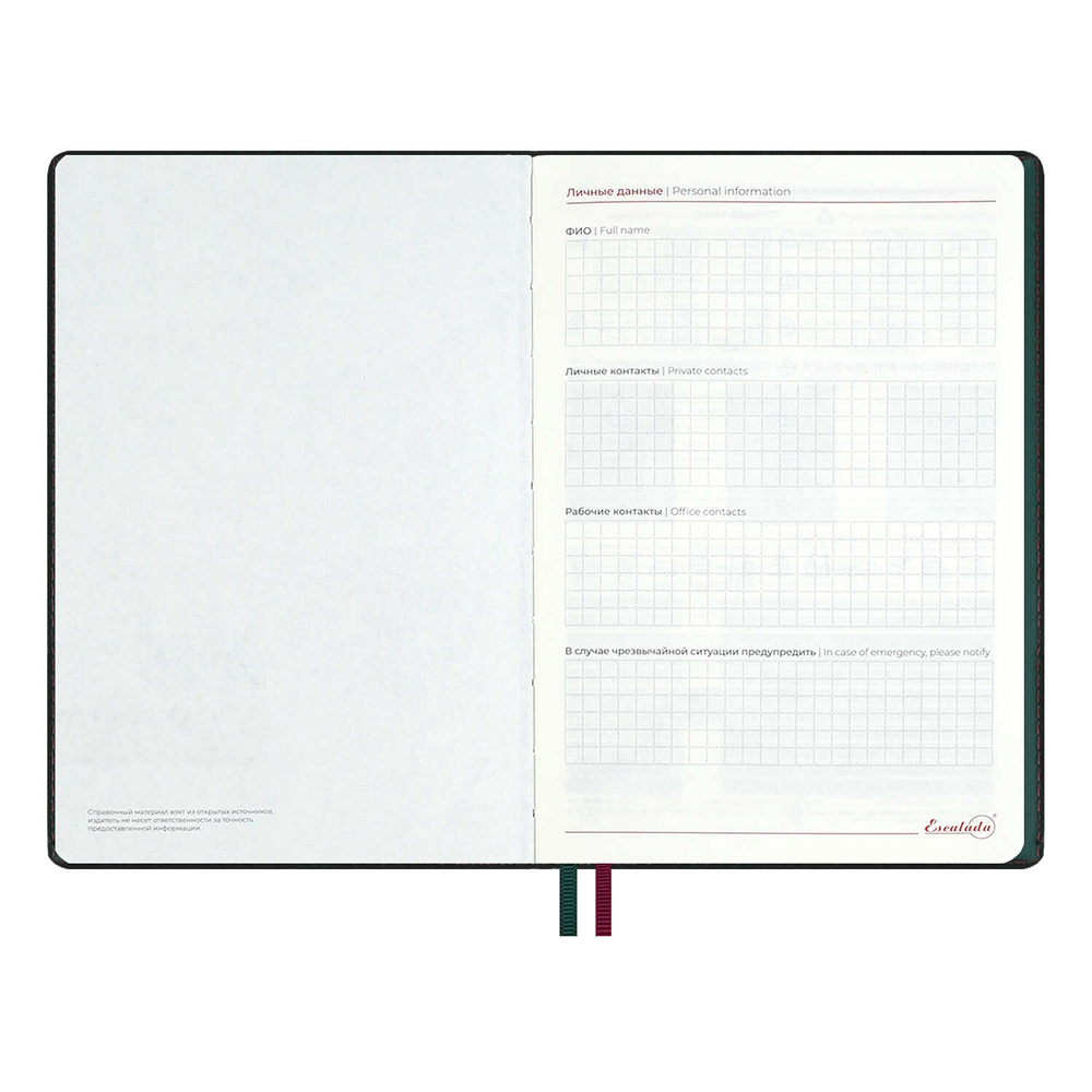 Ежедневник полудатированный "Тиволи Делавэ", А5, 384 страницы, зелёный - 5