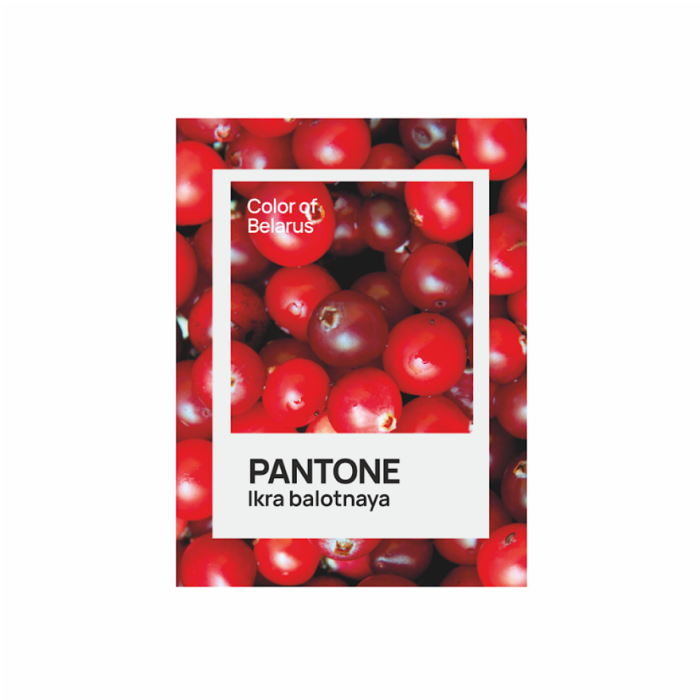 Блокнот «Color of Belarus. Pantone Ikra balotnaya», А5, 128 листов, в точку, белый, зеленый