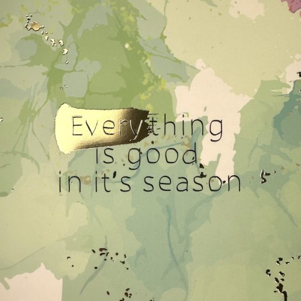 Тетрадь "Primavera", A5, 48 листов, клетка, скоба сбоку, ассорти - 10