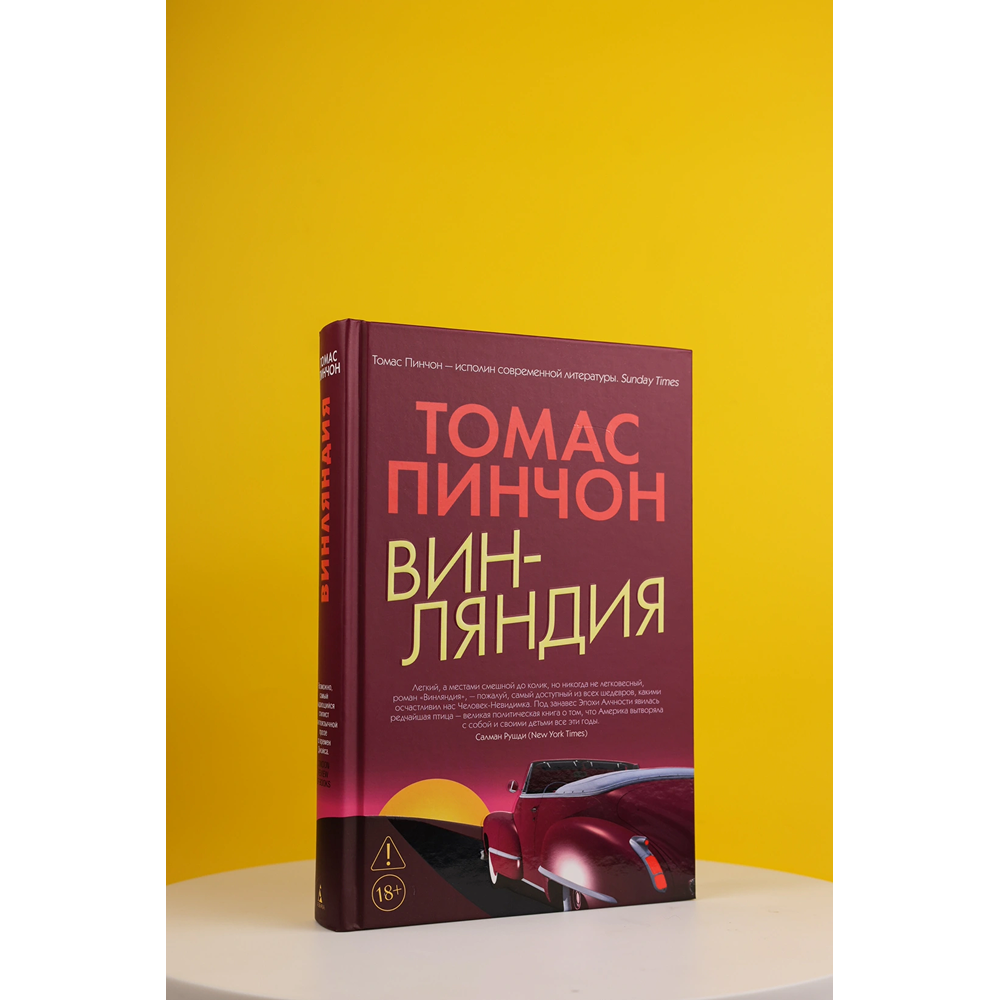 Книга "Винляндия", Томас Пинчон - 2