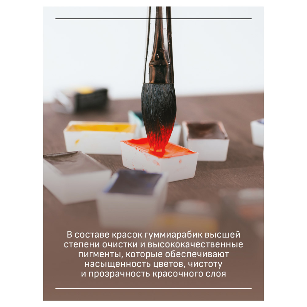 Краски акварельные Гамма "Старый Мастер", 229 хинакридон маджента, кювета - 4