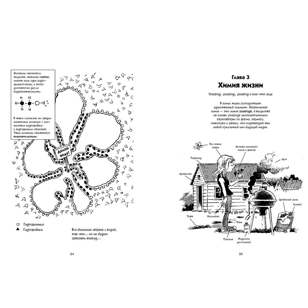 Книга "Биология. Краткий курс в комиксах", Гоник Л., Весснер Д. - 7