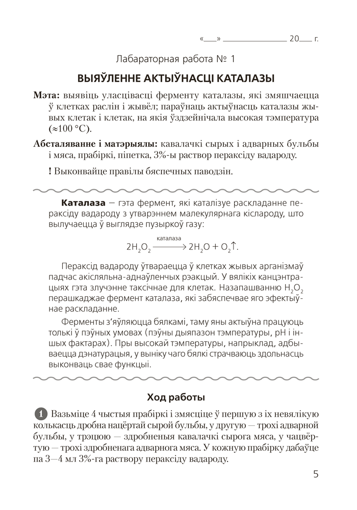 Книга "Бiялогiя. 11 клас. Сшытак для лабараторных і практычных работ (базавы ўзровень)", Хруцкая Т. В. - 3