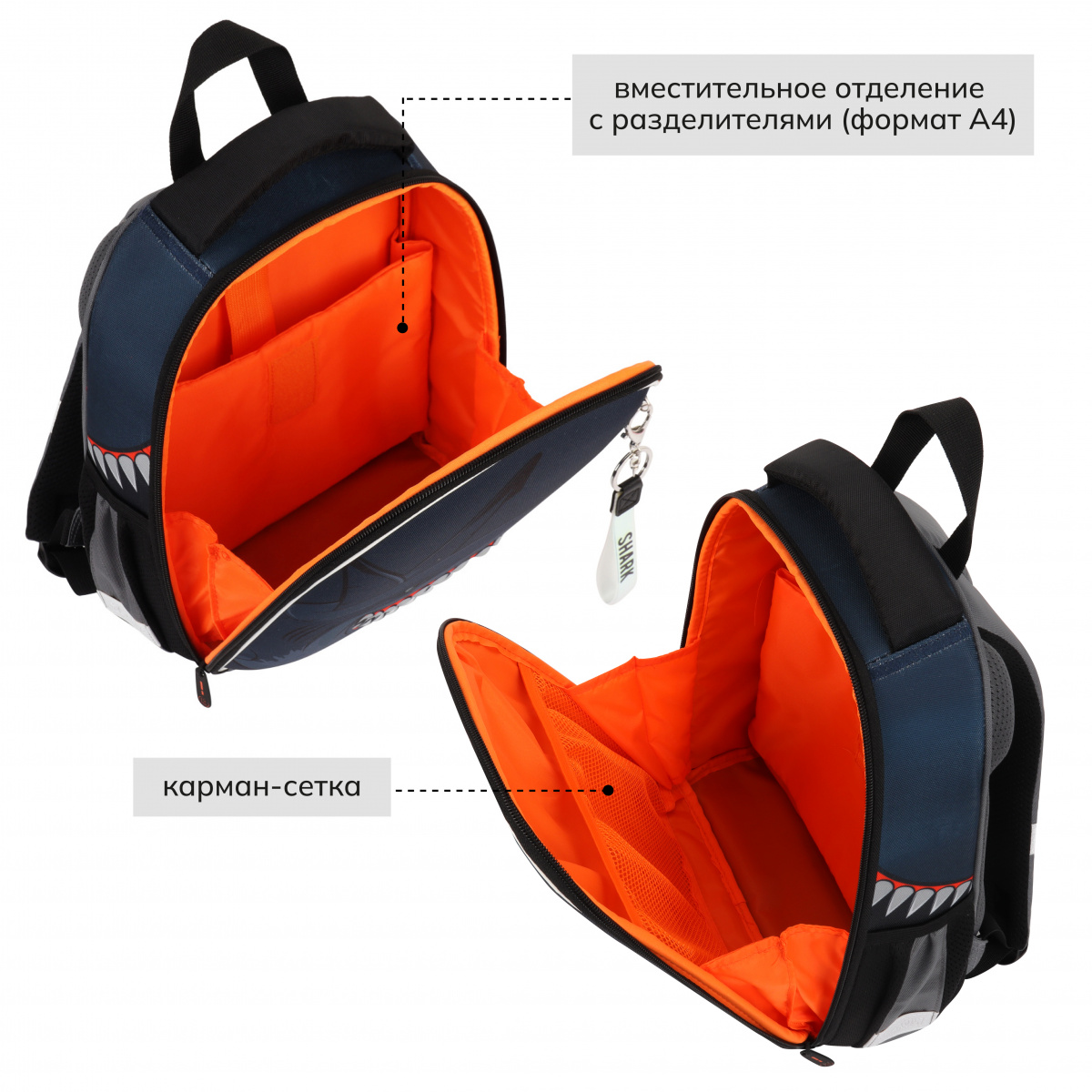 Рюкзак школьный "Ergo Light. Shark", синий, серый - 5
