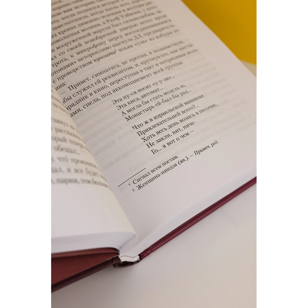 Книга "Винляндия", Томас Пинчон - 5