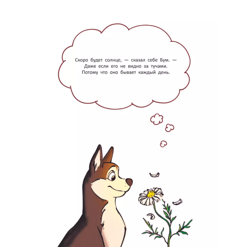 Книга "Приключения в Кармашкино", Ситников А. - 3