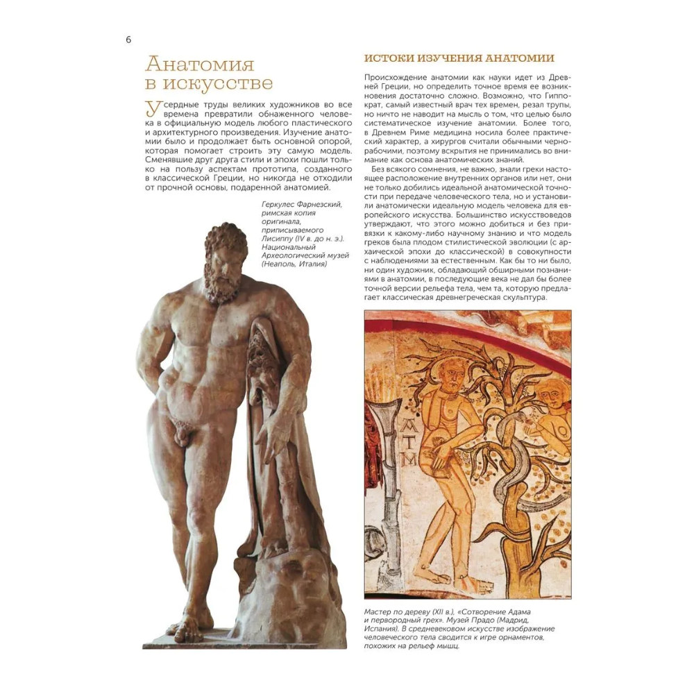 Книга "Анатомия для художников", Давид Санмигель - 7