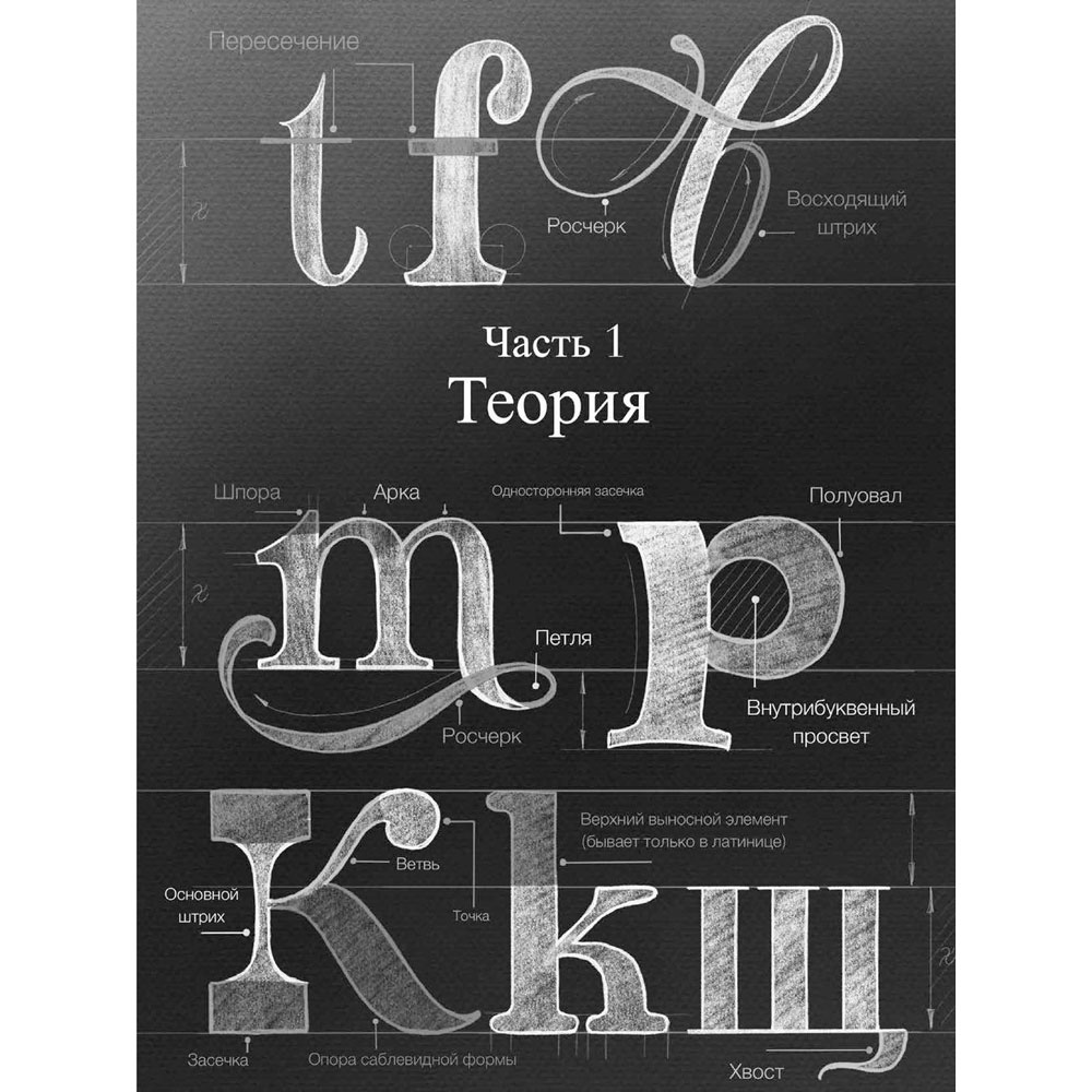 Книга "Курс по леттерингу и каллиграфии", Анна Лиепина - 5