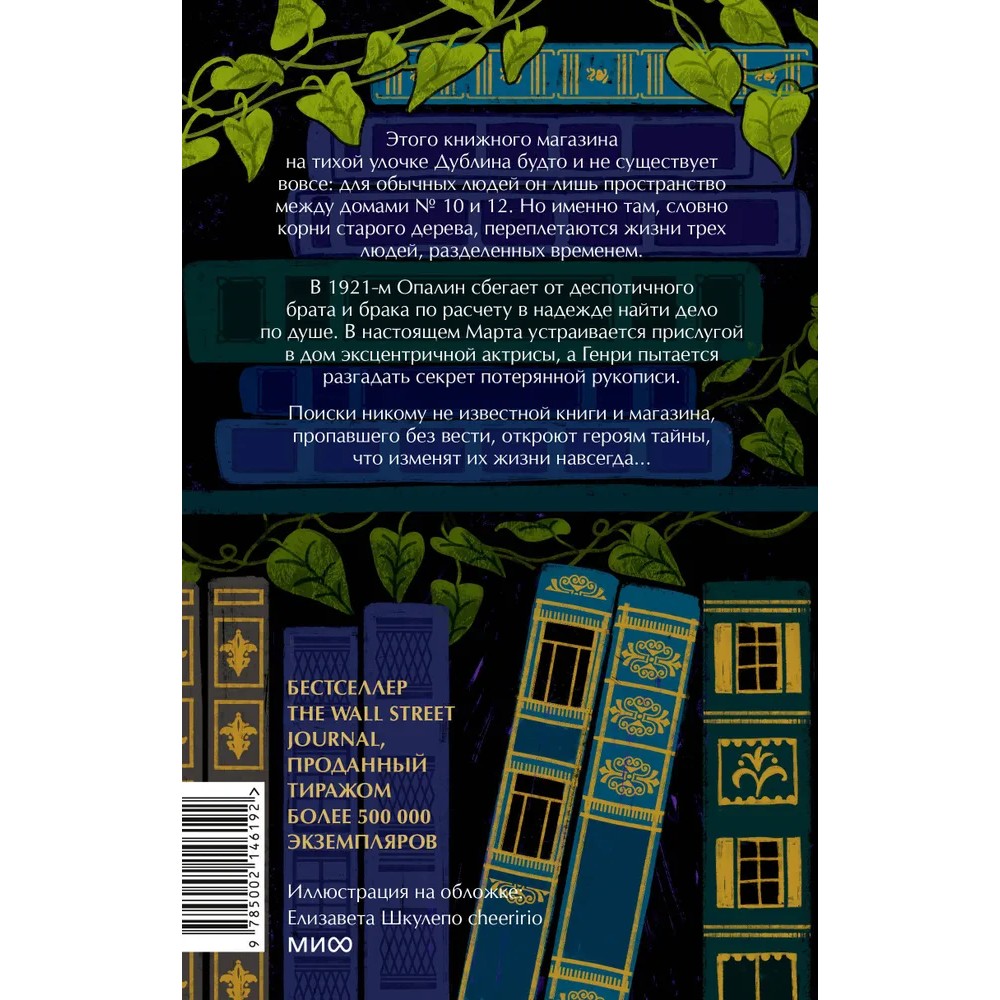 Книга "Затерянный книжный", Иви Вудс - 2