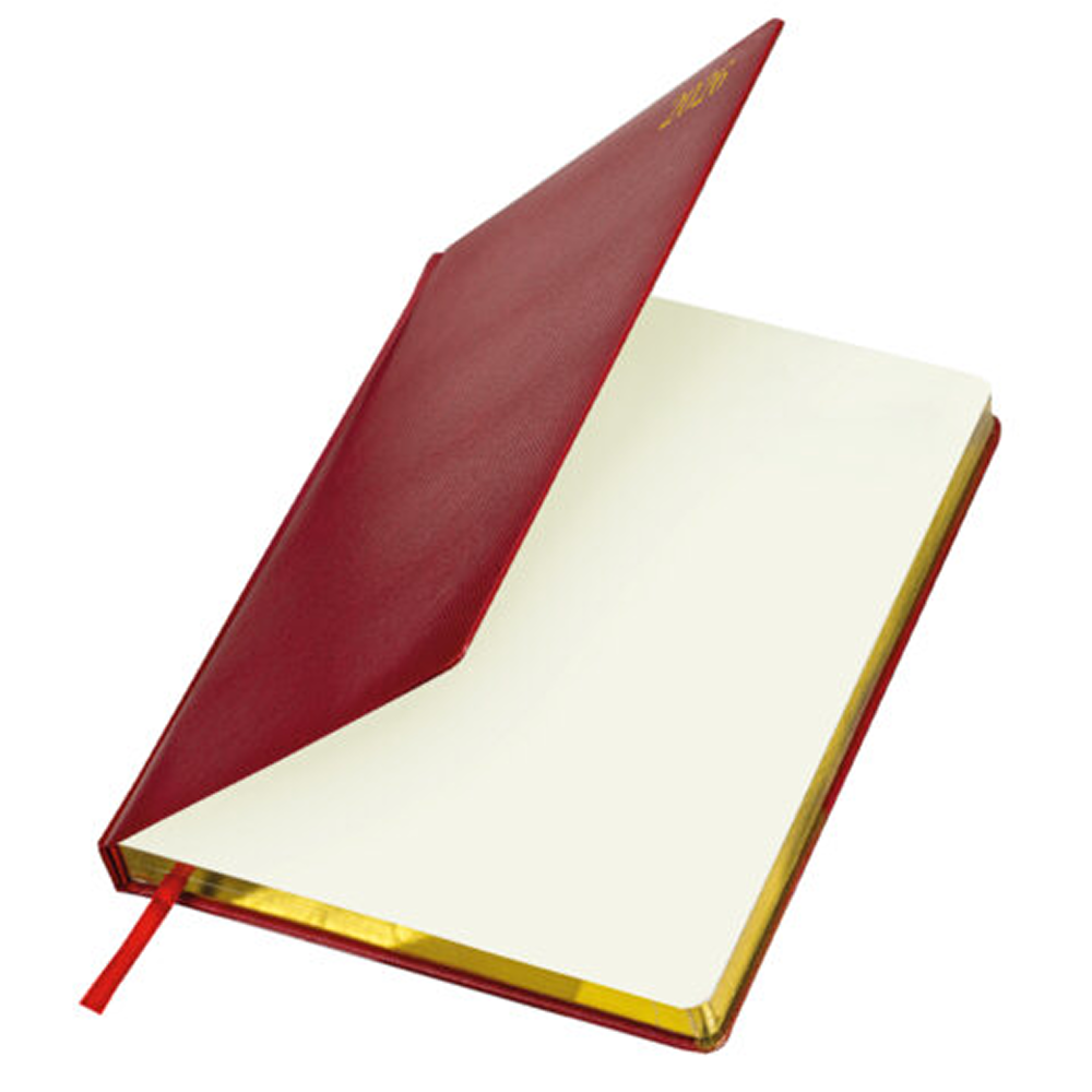 Ежедневник датированный "Iguana" на 2026 год, А4, 336 страниц, красный, срез золотой - 3