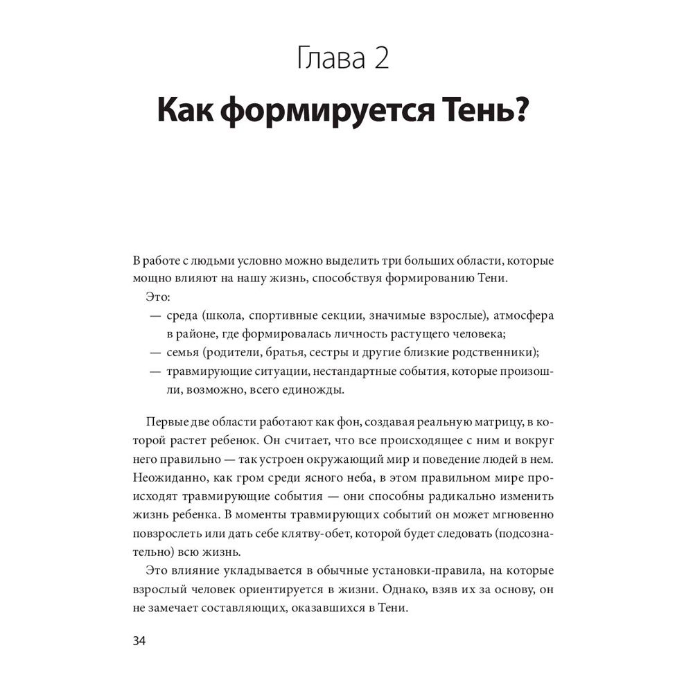 Книга "Тень как ресурс", Савкин А., Тертышная Ю. - 2