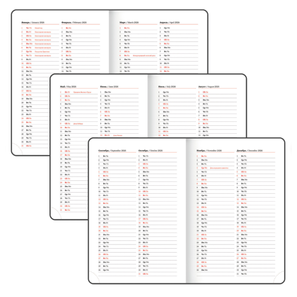 Ежедневник датированный "Control" 2026, А5, 336 страниц, синий - 4