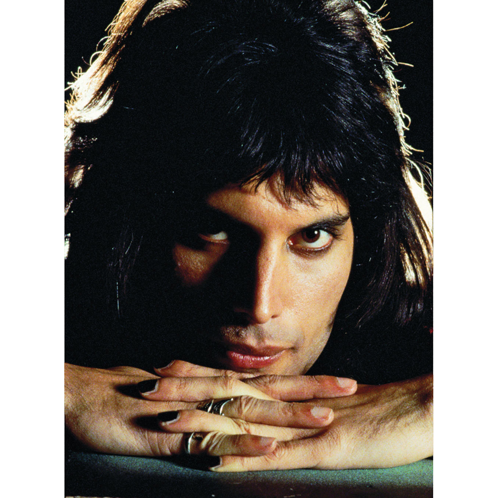 Книга "Фредди Меркьюри: иллюстрированная биография", Блейк Марк - 9