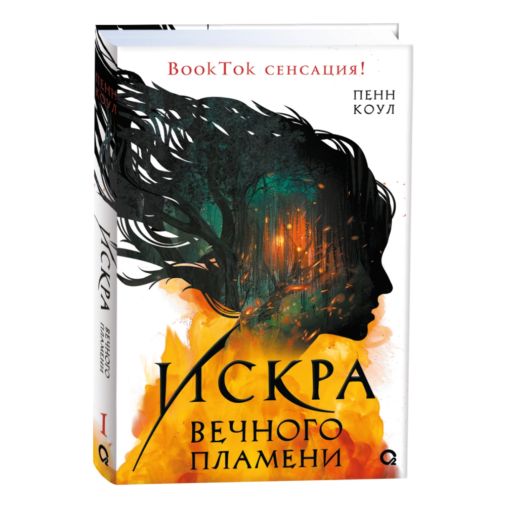 Книга "Искра вечного пламени", Пенн Коул
