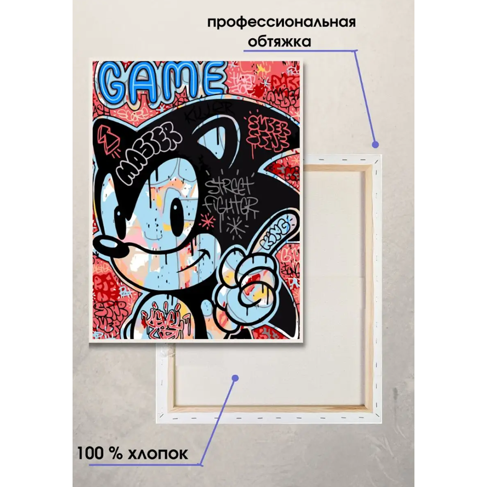 Картина по номерам "Соник Граффити"