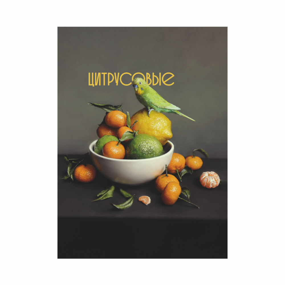 Чехол для карт "Цитрусовые", Алеся Скоробогатая, натуральная кожа, разноцветный