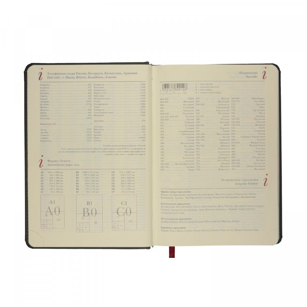 Ежедневник недатированный "Velvet Index" с вырубкой, А5, 272 страницы, серый - 4