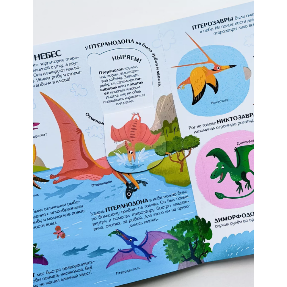 Книга "Книжка с окошками. Секреты динозавров" - 10