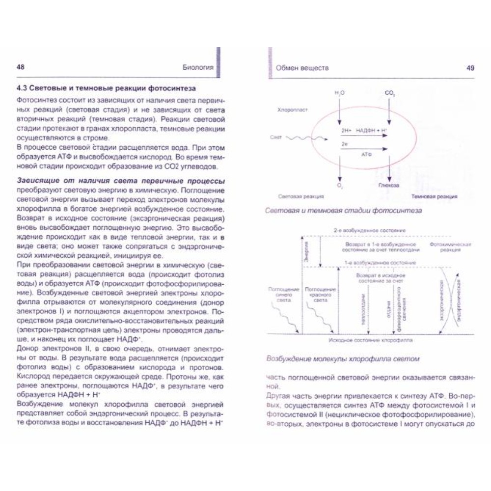 Книга "Карманный репетитор. Биология. Школьный курс", В. Шахович