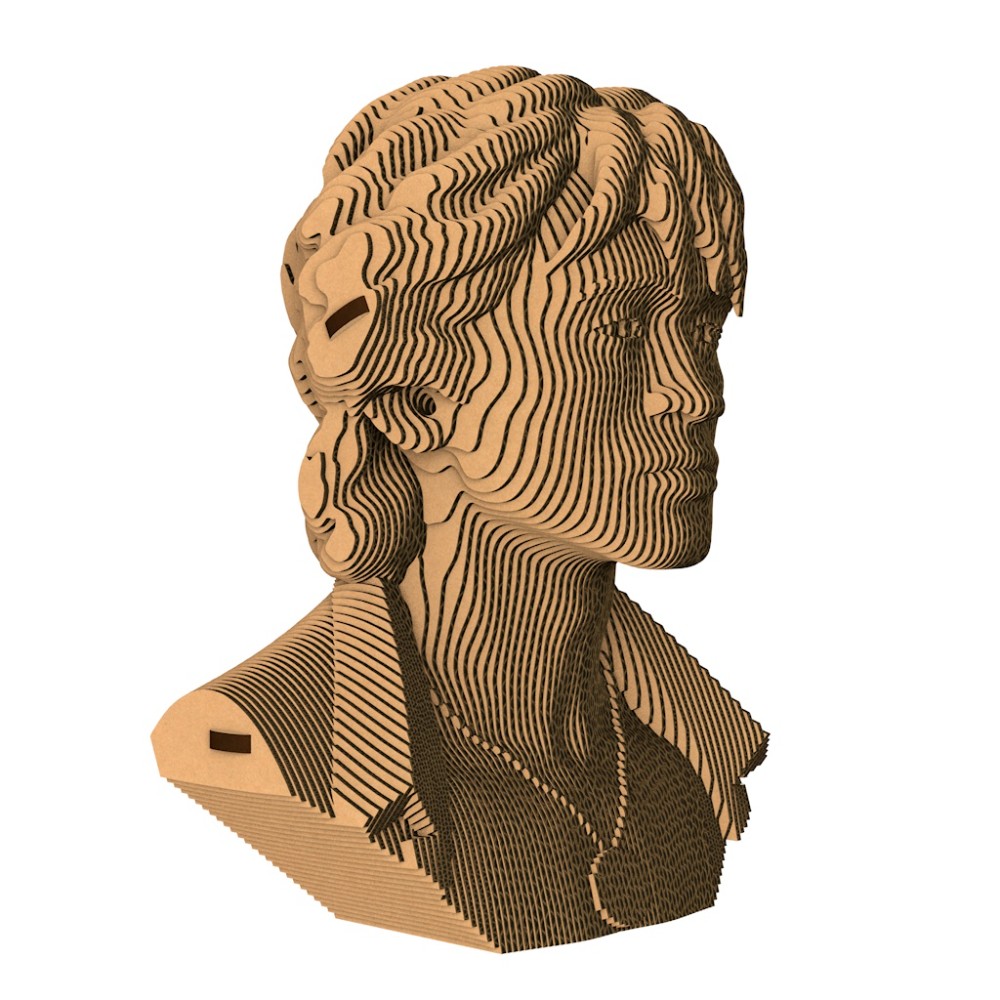 Пазл картонный 3D  "Бюст Цой"