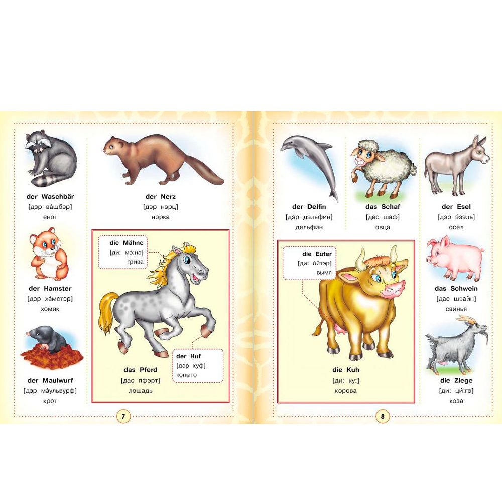 Книга "Немецко-русский визуальный словарь для детей" - 5