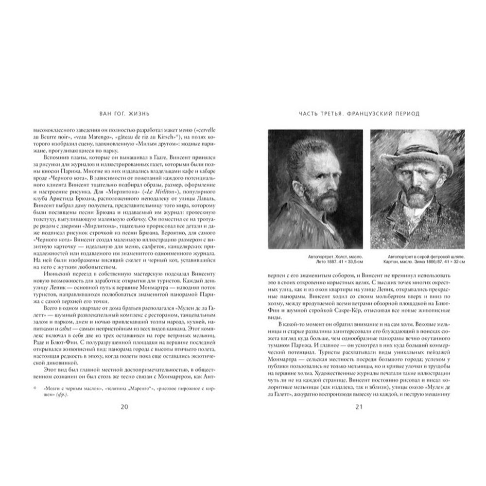 Книга "Ван Гог. Жизнь (в 2-ух томах)", Найфи С., Уайт-Смит Г. - 3