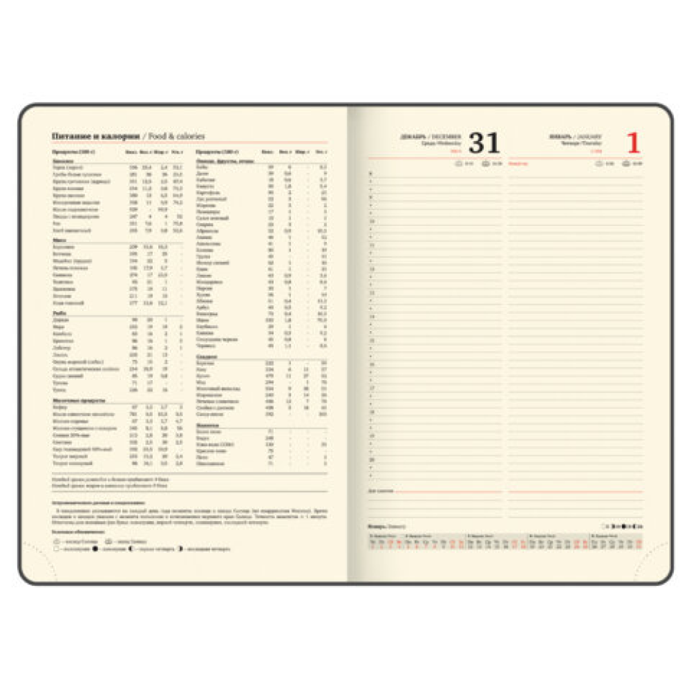 Ежедневник датированный "Iguana" на 2026 год, А4, 336 страниц, коричневый, срез золотой - 11