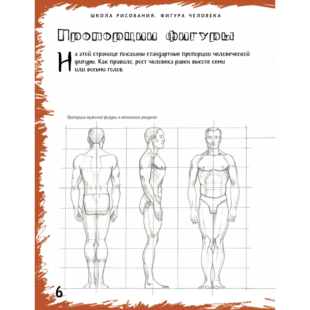 Книга "Школа рисования. Фигура человека", Марк Берджин - 3