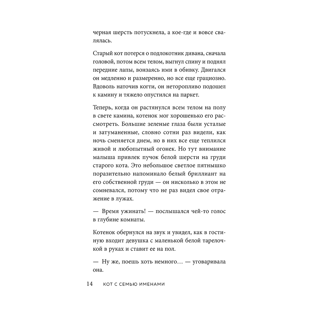 Книга "Кот с семью именами. Счастье приходит к тому, кто верит в чудеса", Федерико Сантаити - 10