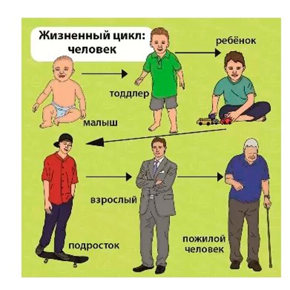 Игра настольная "Сундучок знаний "Мои первые знания" - 3