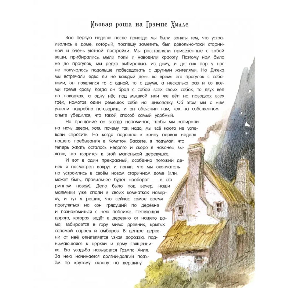 Книга "Продавец троллей"/Бент Якобсен, илл. Вадим Челак - 4