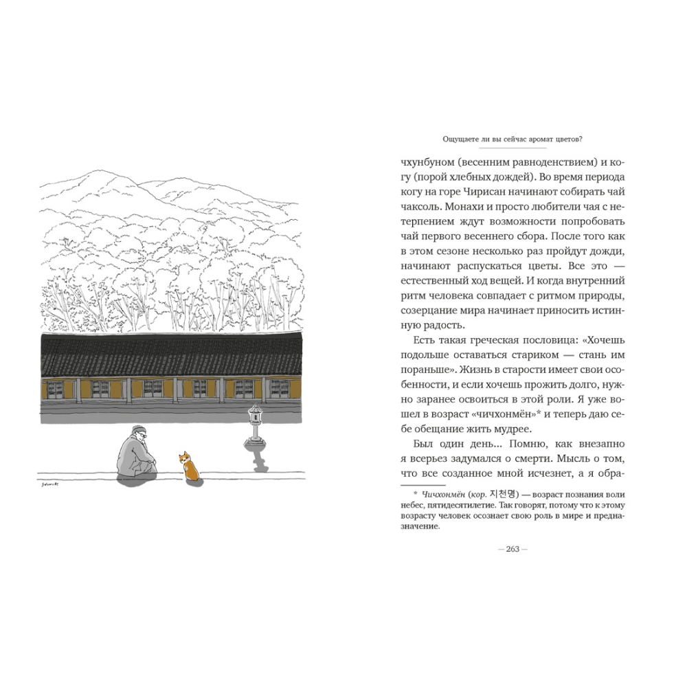 Книга "Однажды ко мне пришел кот", Погён - 6