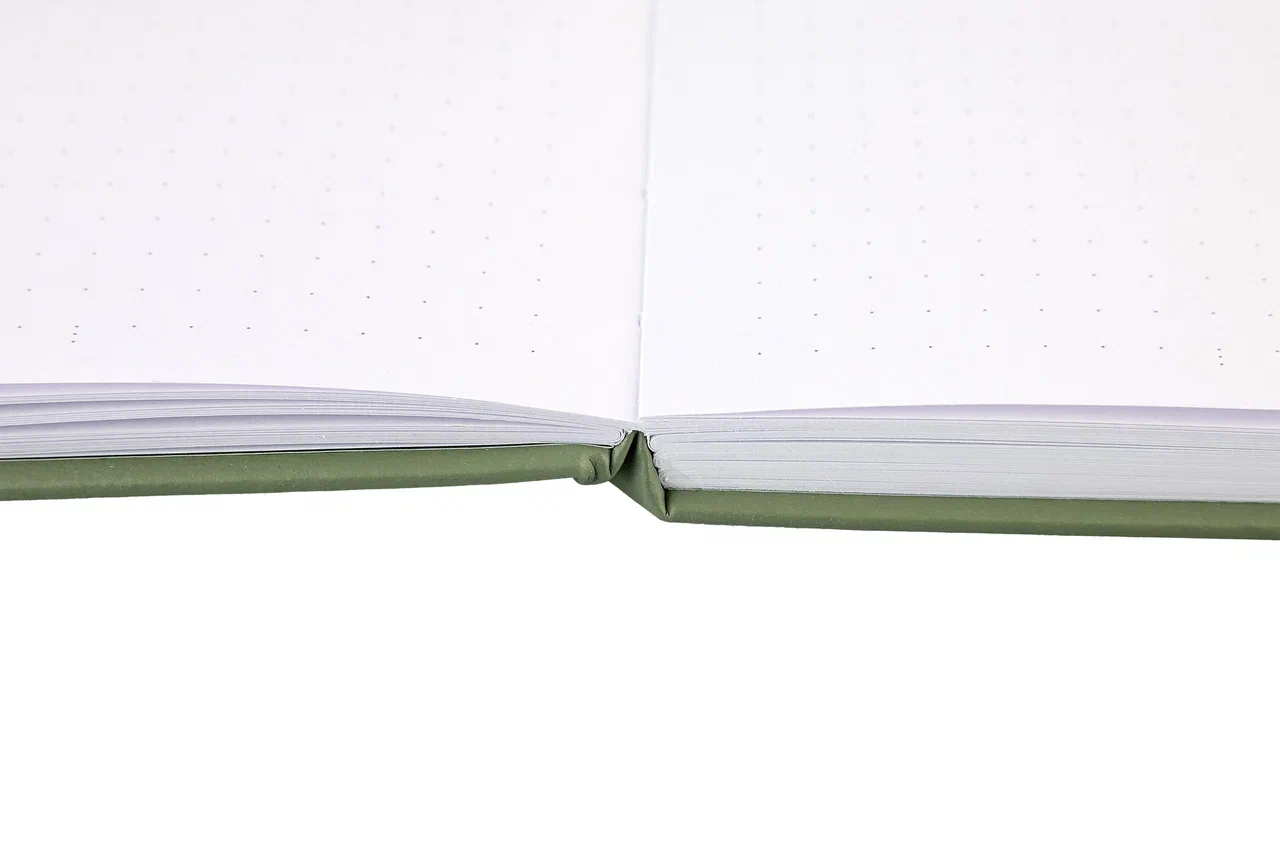 Блокнот "Стихия. Bullet Journal", А5, 80 листов, в точку, оливковый - 12