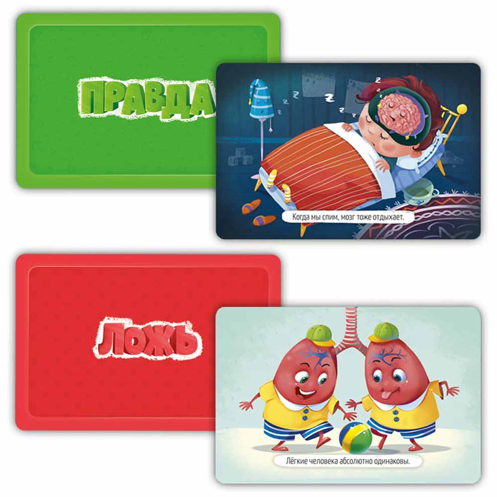 Игра настольная "Правда-ложь. Тело человека" - 3