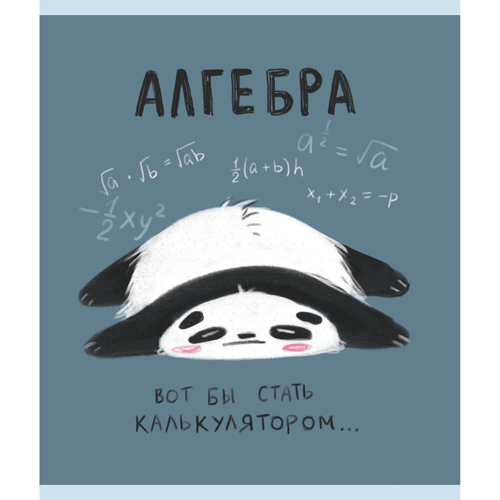 Тетрадь "Панда. Алгебра", А5, 48 листов, клетка 