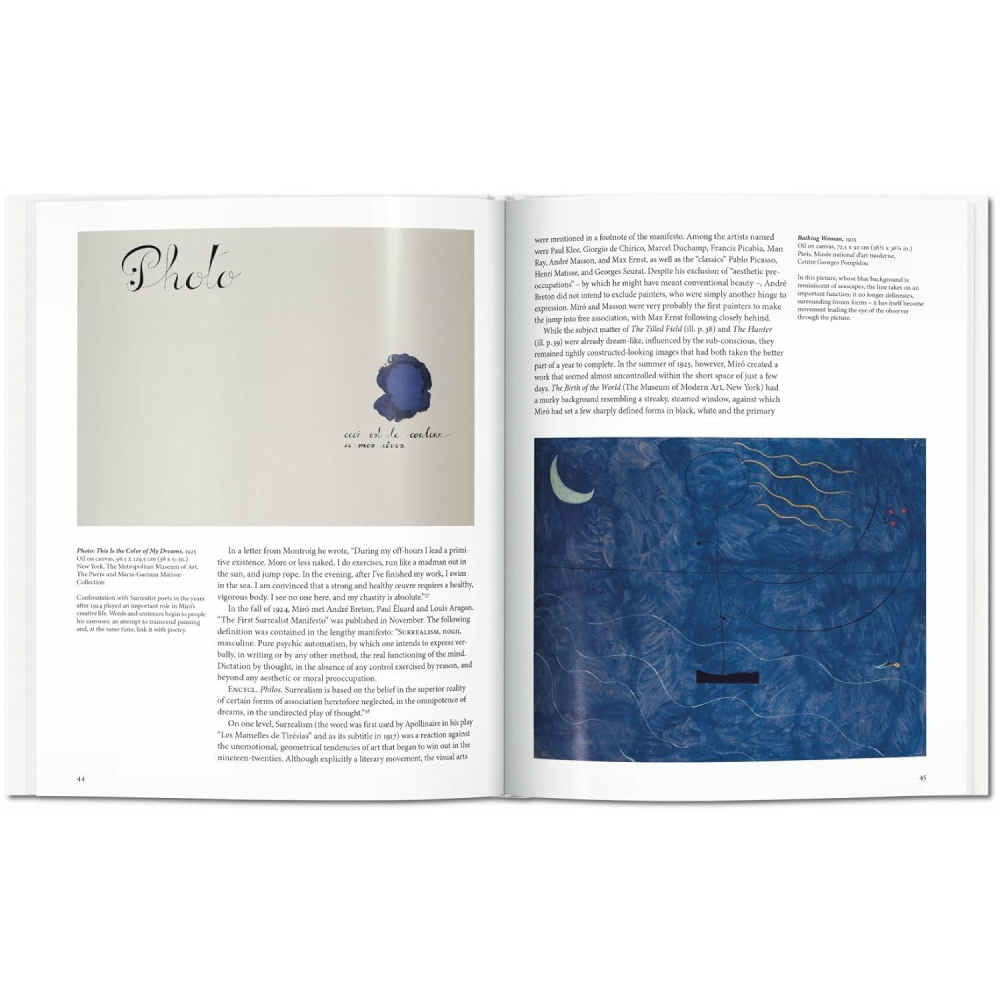 Книга на английском языке "Basic Art. Miro"  - 4