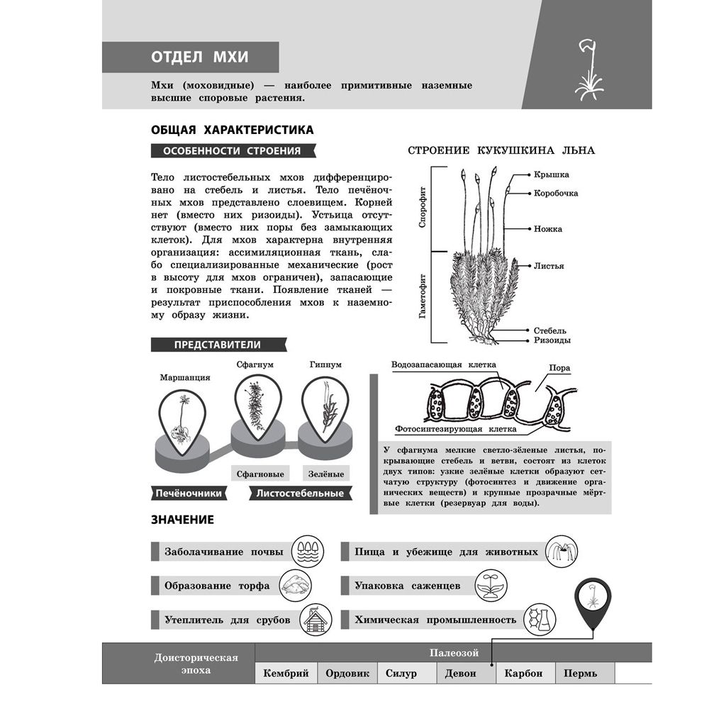 Книга "Биология в инфографике", Оксана Мазур - 13