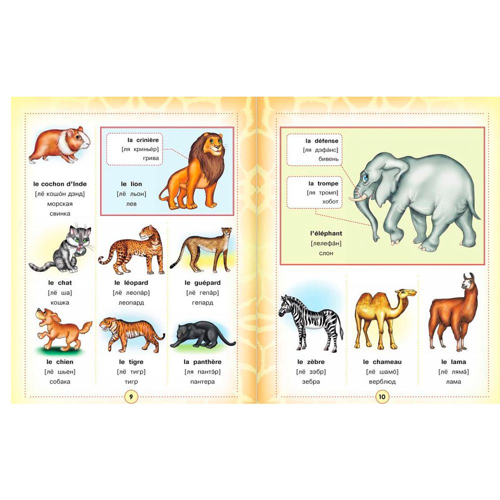 Книга "Французско-русский визуальный словарь для детей" - 6
